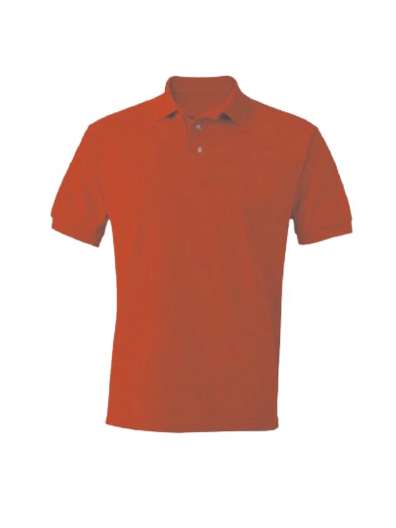 Polo T-Shirts